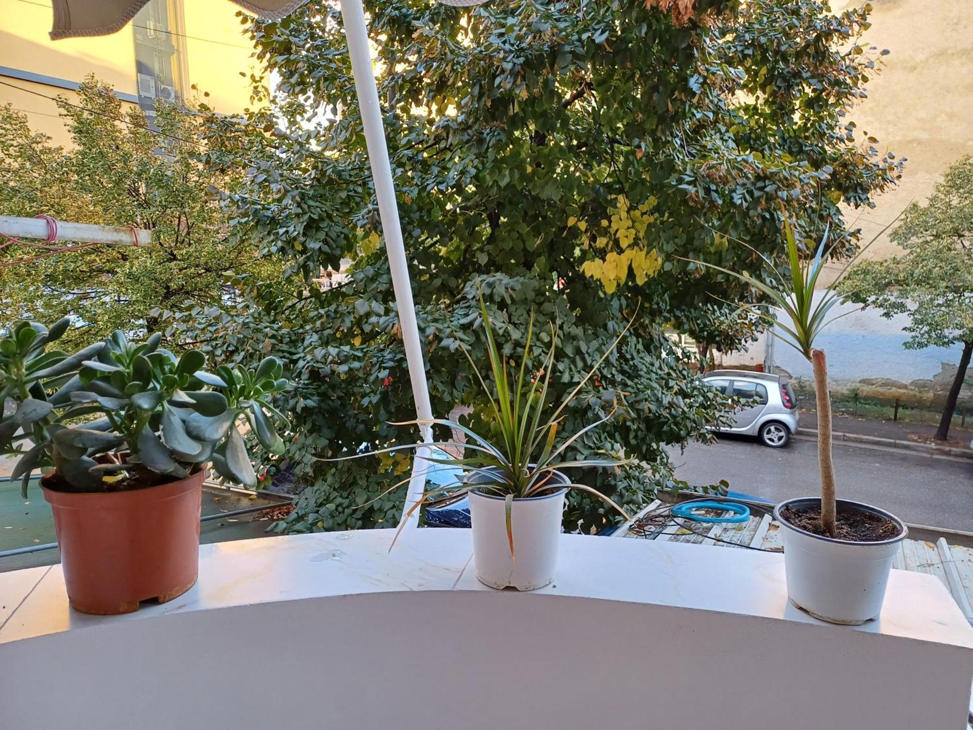 Regis Apartment Tirana Eksteriør billede